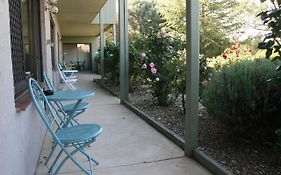 Jindy Inn