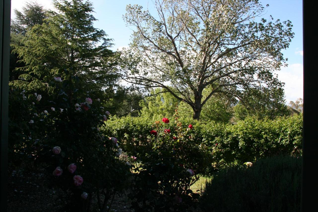 Jindy Inn Jindabyne Exterior foto